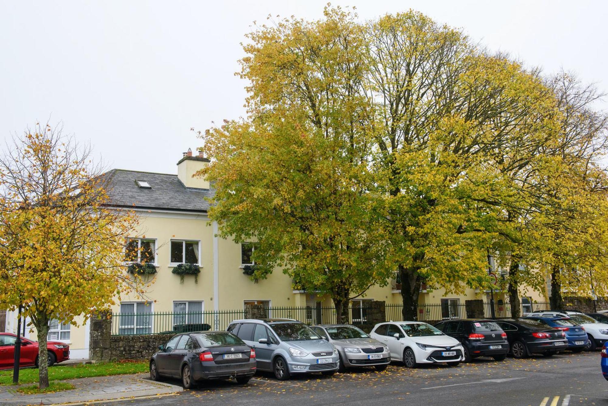 Waterfront Self Catering Houses Carrick on Shannon Eksteriør bilde